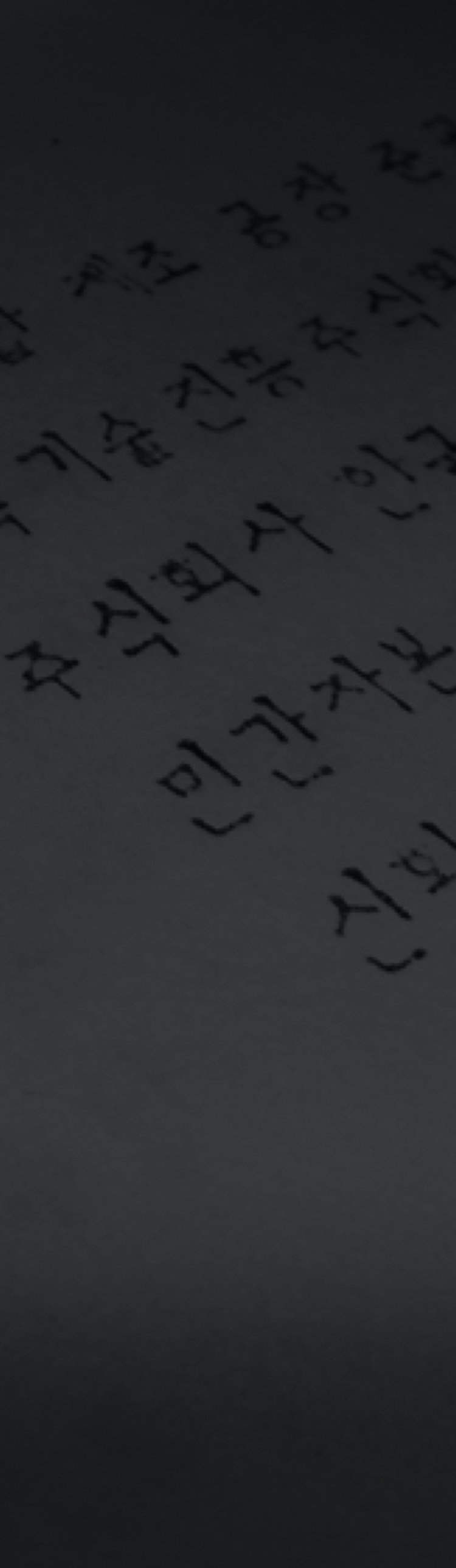 배경 사진